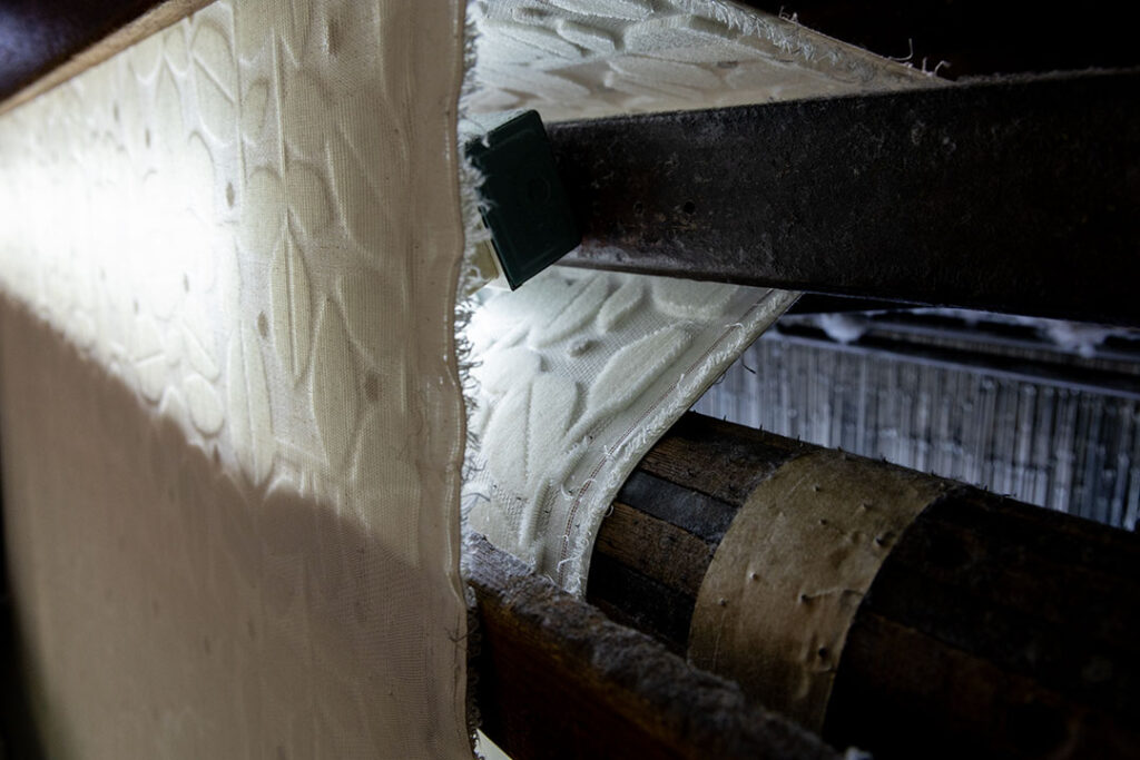 中矢パイル×亥之吉モケットはっぱドット